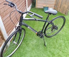 Orbea bike