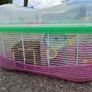 Hamster Cages Image 5