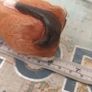 Hand-Carved Wooden Siamese Cat Figurine / Ornament Image 5