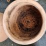 Belly pot Image 2