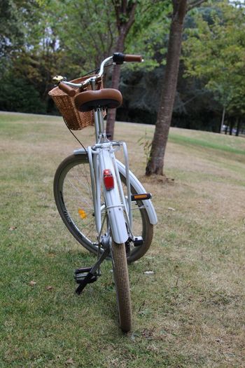 White Vintage Ladies Bike Kenzel Malena 3 Speed Internal Gears Wicker Basket