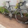 Ridley 7005 racing 30 speed 700x25c wheels 19.5 inch frame very good condition shimano tiagra group set Image 3
