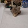 Owl collection Image 8