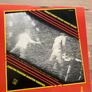 Suicide Dream Baby Dream 12" 1979 pressing Image 2