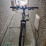 Woman bike Image 3