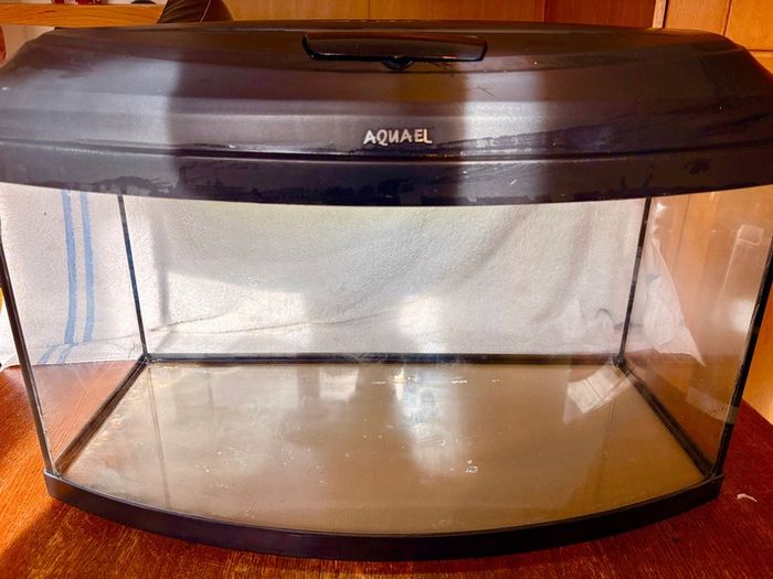 Fish Tank Aqua 60cm - Bow Front Aquarium 45L