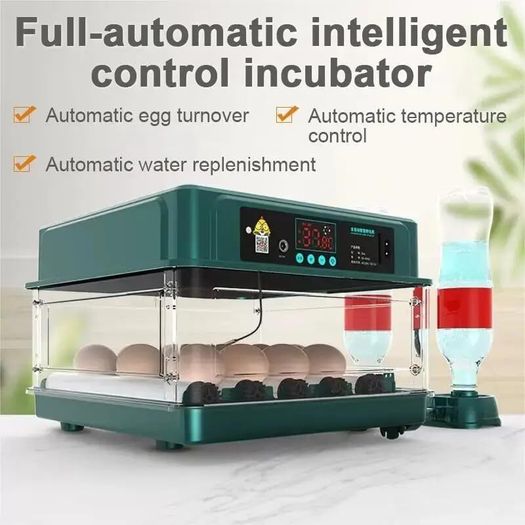 24 Egg Automatic Incubator with Auto Water Refill Digital Temperature Control & Humidity System