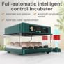 24 Egg Automatic Incubator with Auto Water Refill Digital Temperature Control & Humidity System Image 3