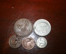 Vintage Irish Coins