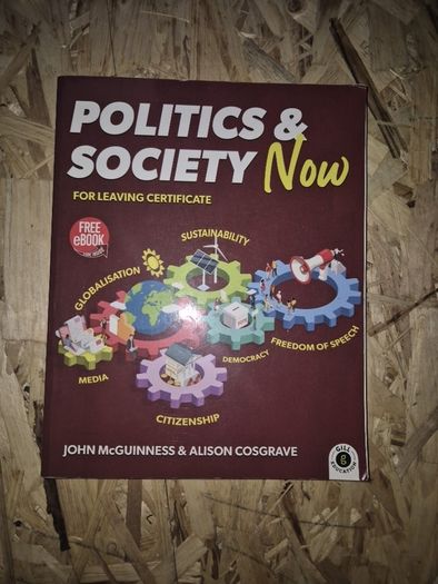Politics and society now
