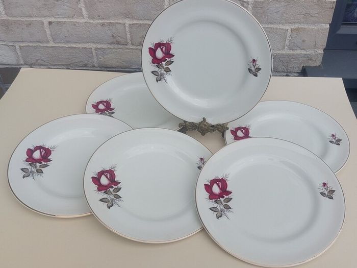 Beautiful Set of Six Large Dinner Plates by Arklow Pottery in the Very Popular and Collectable "Autumn Rose" Pattern