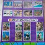 The World Wildlife Album - 3D Prints From Shell - Complete Image 5