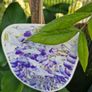 wisteria Image 3