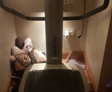 vibroplate