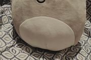 Squishmallows Ainhoca Armoured Dino