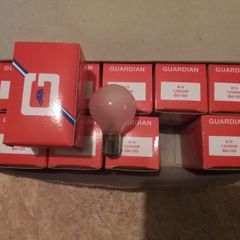 10. 12 Volt 20 Watt Auto Bolbs.