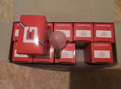 10. 12 Volt 20 Watt Auto Bolbs.