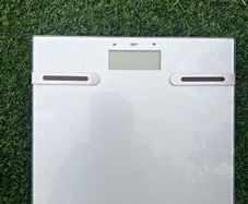 Digital bathroom scales