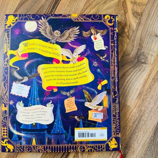 harry potter book