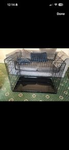 XXL dog crate