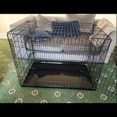 XXL dog crate
