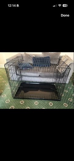 XXL dog crate