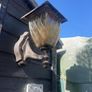 lanterans Image 4