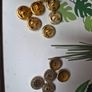 Vintage Buttons Image 6