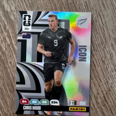 World cup 2026 football card