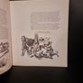 Bullfighting : A Classic Illustrated Guide to the History, Practice, and Art of the Corrida, BY THE AMERICAN MATADOR Image 3