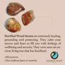 Petrified wood mini eggs Image 2