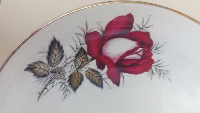 Beautiful Set of Six Dessert Bowls plus Matching Large Bowl by Arklow Pottery in the Very Popular and Collectable "Autumn Rose" Pattern