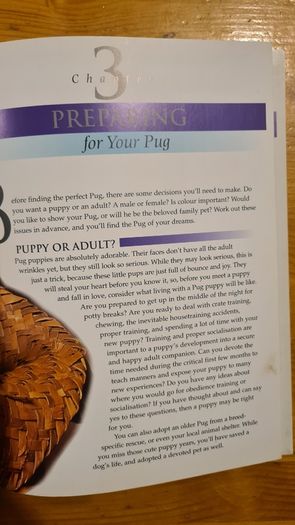 The Pug By Susan. M. Ewing. Wayne Hunthausen, D. V. M. Consulting Vetenary Editor. Large Volume Book In Very Good Condition.