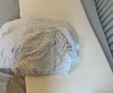 cot matress clever mama