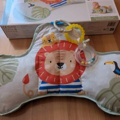 Tummy Time Pillow & Book