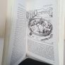 The Course of Irish History Edited by T. W. Moody and F. X. Martin (PT64) Image 3