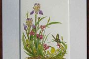 Print of a botanical watercolour painting by Patrick O Hara