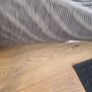 rug Image 3