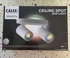 Ceiling Spot Duo Light Smart 01