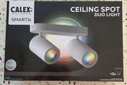Ceiling Spot Duo Light Smart 02