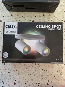 Ceiling Spot Duo Light Smart 02
