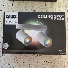Ceiling Spot Duo Light Smart 02