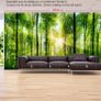 Non-woven Wall Mural / Photo Wallpaper Image 2
