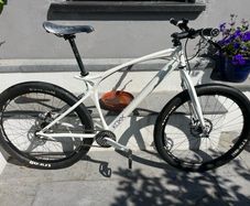 Koxx Botoxx single speed mountain bike