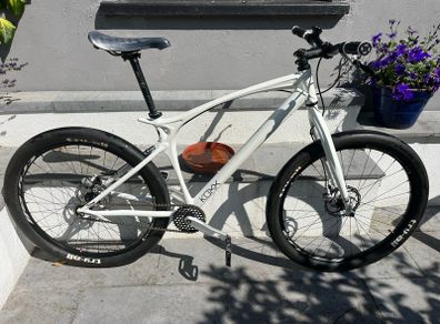 Koxx Botoxx single speed mountain bike