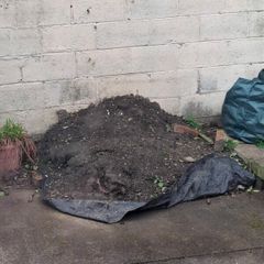 Soil