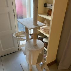 cat play tower