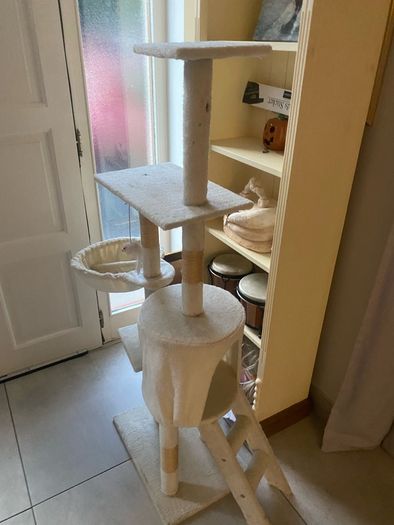 cat play tower