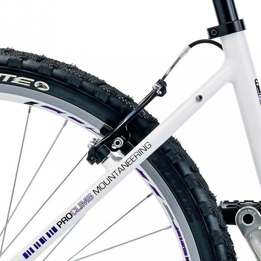17" Coyote Venice Beach Ladies Alloy FS, 21 Speed, White