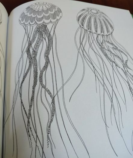 Adult colouring book
